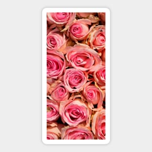 Roses pattern Sticker